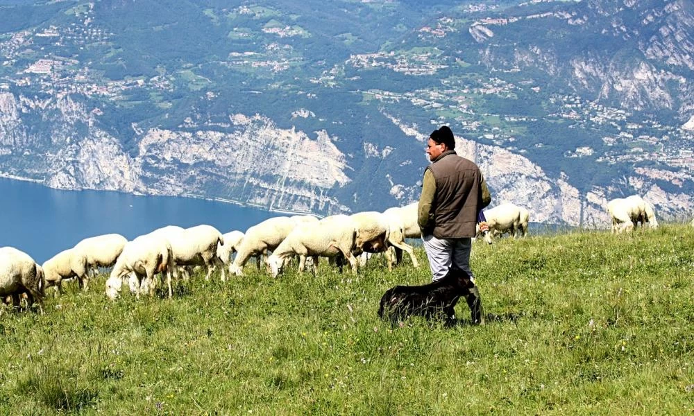 Ανέλπιστος «μποναμάς» 280 εκατ. ευρώ από Ευρωπαϊκό δικαστήριο